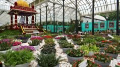 Iconic Lalbagh Flower Show To Begin In Bengaluru For Republic Day! Know Dates, Time, Ticket